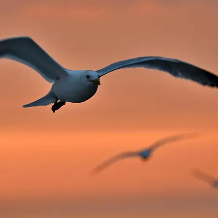 Plage, Vue Et Dragon, Garage Pour Moto Apartment