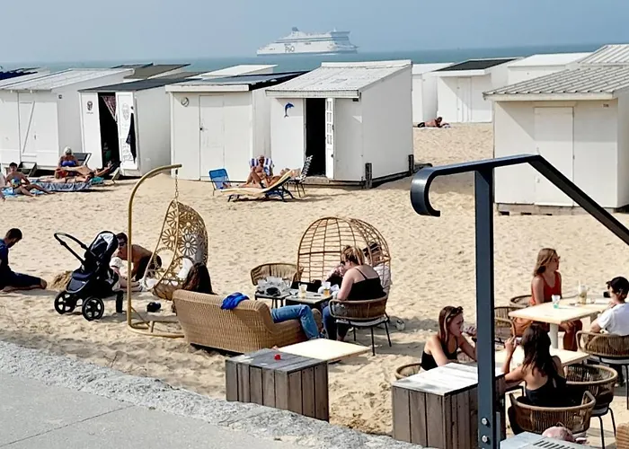 Plage, Vue Et Dragon, Garage Pour Moto Appartement